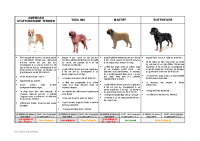 Tableau_des_chiens_de_categorie_cle4fc679