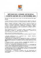 CR CM 16 novembre 2020